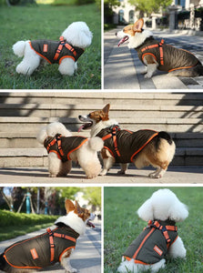 Harness Dog Jacket