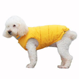 Reversible Dog Puffer Jacket