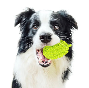 Durian Fruit Shape dog teeth cleaning toy