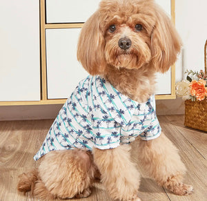 Summer Shirt Breathe Pet Clothe for small dogs or Cats