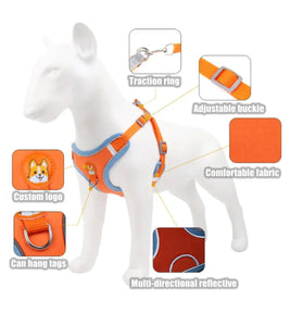 Chest Strap Breathable Leash&Harness Set