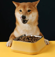 Load image into Gallery viewer, Pet Food Bowl Stainless Steel Food or Water