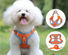 Load image into Gallery viewer, Chest Strap Breathable Leash&amp;Harness Set