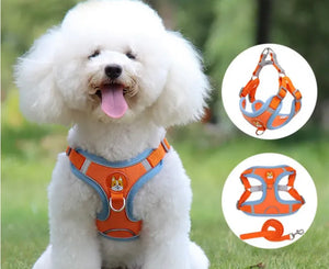 Chest Strap Breathable Leash&Harness Set