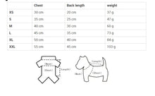 Load image into Gallery viewer, Puppy two-legged Bear Print Clothe for dogs or cats