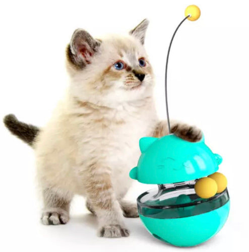 2in 1 interactive Cat food Dispensing ball