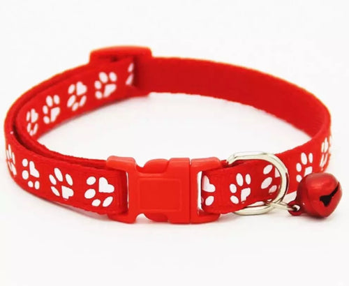 Collar for cats or small dogs