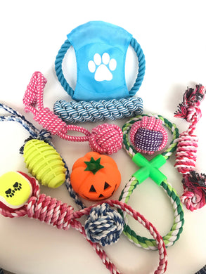 10 Pieces Dog Rope Toys